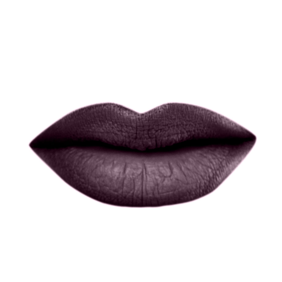 Velvet Matte Liquid Lipstick