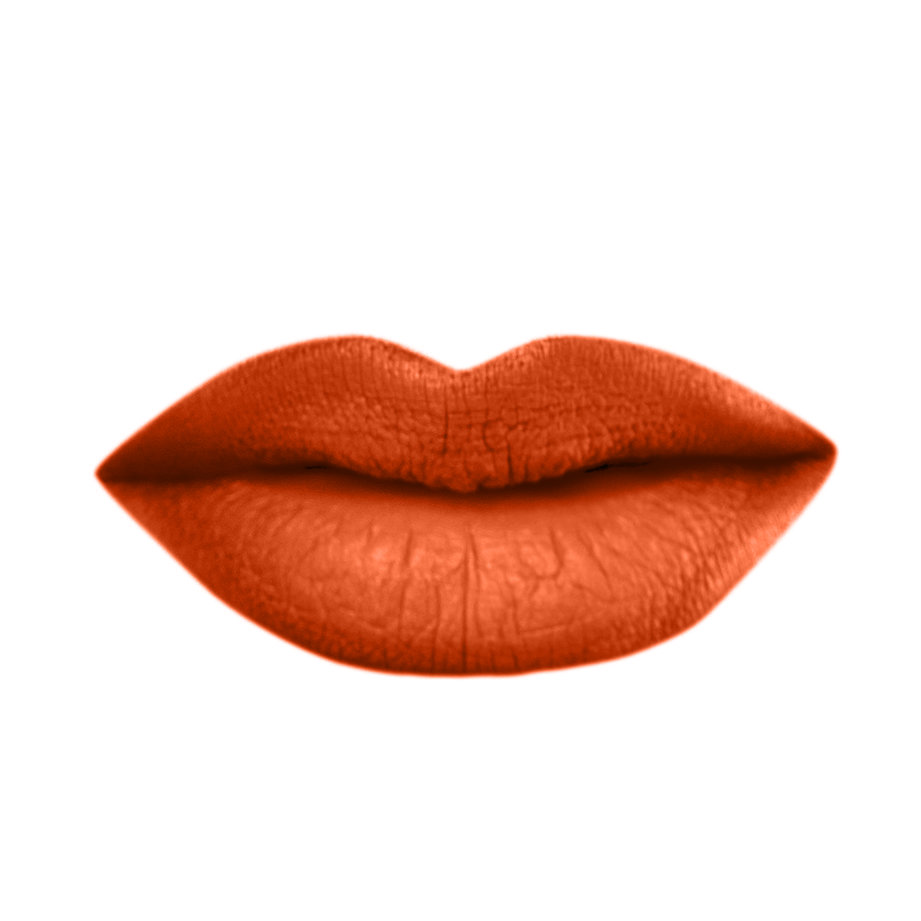 Velvet Matte Liquid Lipstick