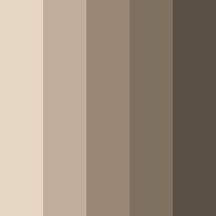 [EK02] 5 Color Eyeshadow Palette (خرسانة)
